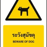 ป้ายเตือน ระวังสุนัขดุ BEWARE OF DOG รหัส A-W34 แอทไซน์บอร์ด หาดใหญ่ (ภาพตัวอย่าง)
